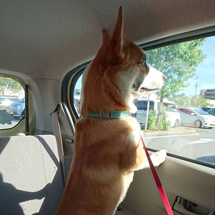 89a78c4b 788a 435a 93fc 006bca5e01e1 1597140474735