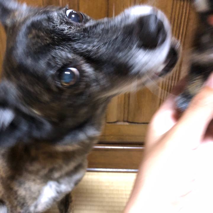 89a7adb3 75f2 4ba5 ba4a 8c33ea70b39a 1630397309594