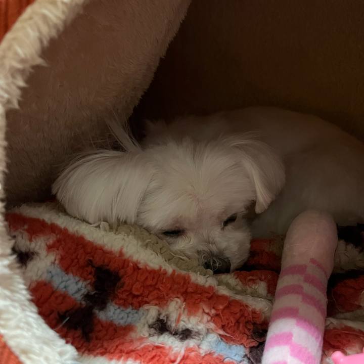 89a7e507 effe 402e 8d7b 1d97e0178d24 1710244228713