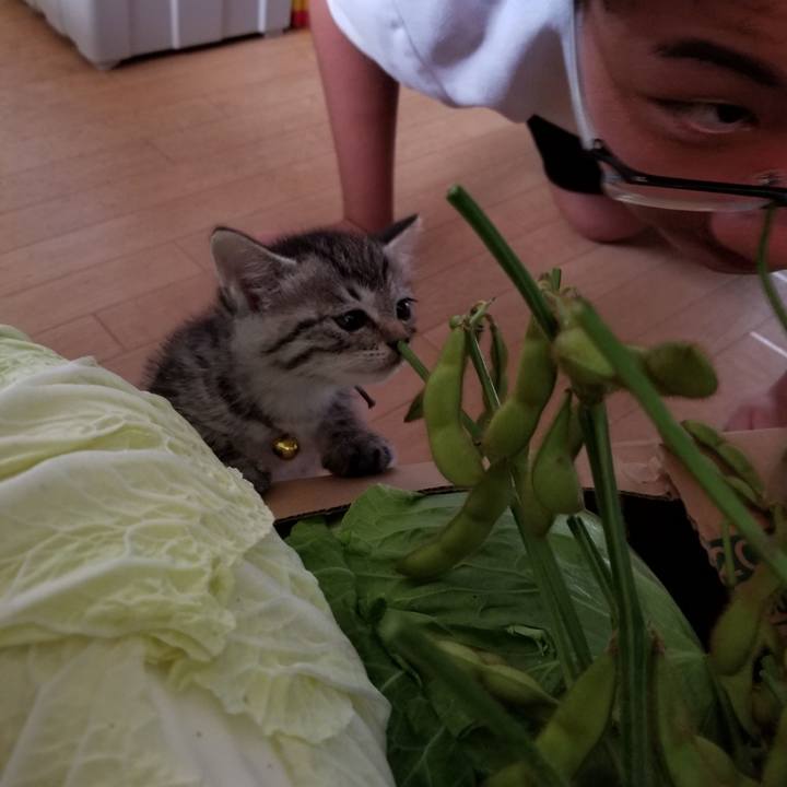 89a88acb 1c91 4433 809c 4cb596a81f5f 1661697593357