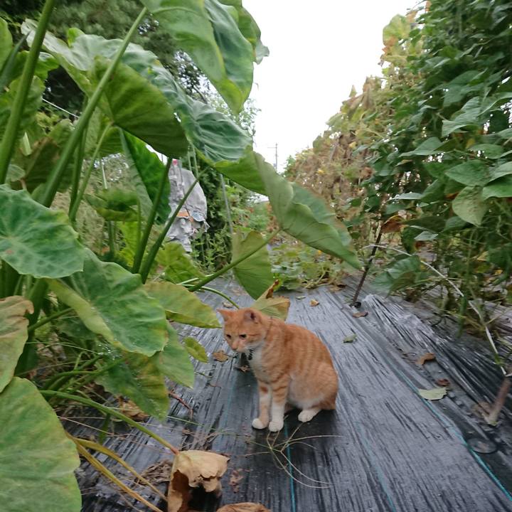 89a89b10 488d 4e13 b460 82d4f8824057 1568148907453