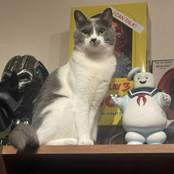 89a8b19b cdba 458f 8de2 44f6ebaf807c 1630409534934