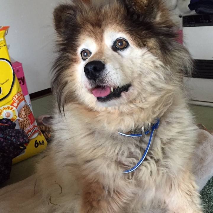 89a8b2d6 203d 4e47 8c89 00ea5c88073d 1610613247980