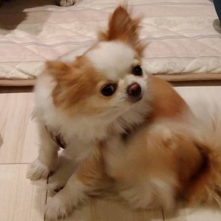 89a8b8cc 3534 460d bafa 34bfa0ee0f77 1593305687239