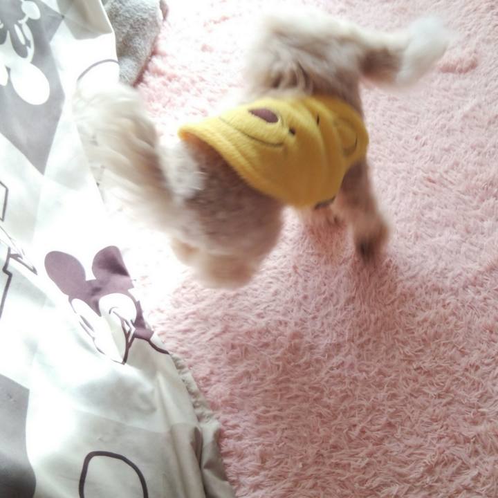 89a8d27d 65d9 472d b6cf 75aa27523b33 1543621459178