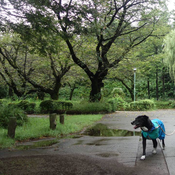 89a8f80b 731b 4fa4 b834 aefd7aa097f1 1693786742029