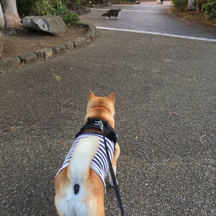 89a91d44 80a9 4873 a0cd c22d33291b94 1613219794070