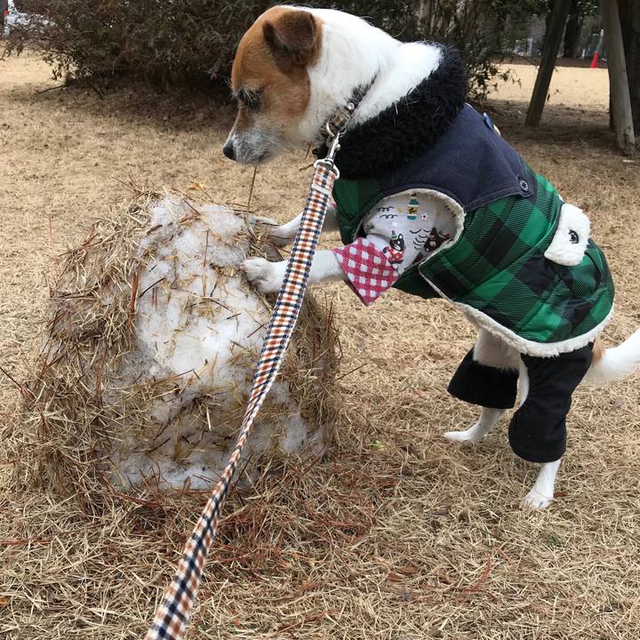 89a9326b d1b2 4cae 9273 9b591a3f61f4 1550389801219