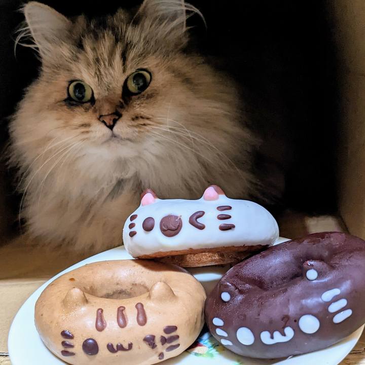 89a98642 785f 4145 8755 ebdb5fe70d61 1663896031332