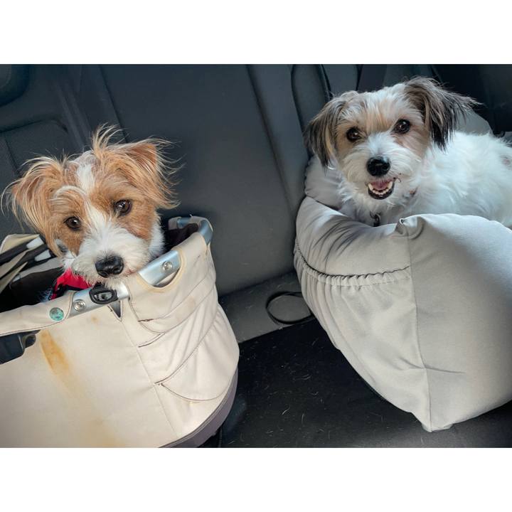 89a98b30 d1b9 41ec 90c6 d987563a12b7 1760873875630