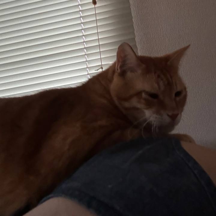 89a998fc 19ca 49c3 a865 f0f97565c114 1757192876182