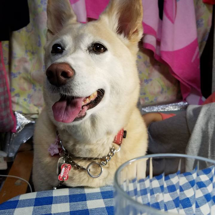 89a99ca5 d26c 4ddf bfd4 d6adaf6908b7 1509846374975