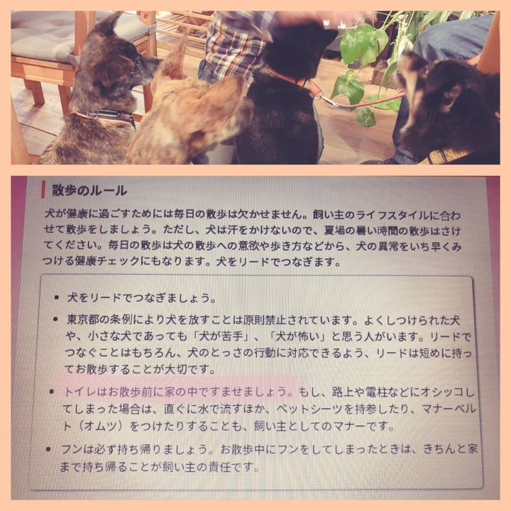 89a9c2b3 179e 49af a924 e435adbb6de9 1573984845427