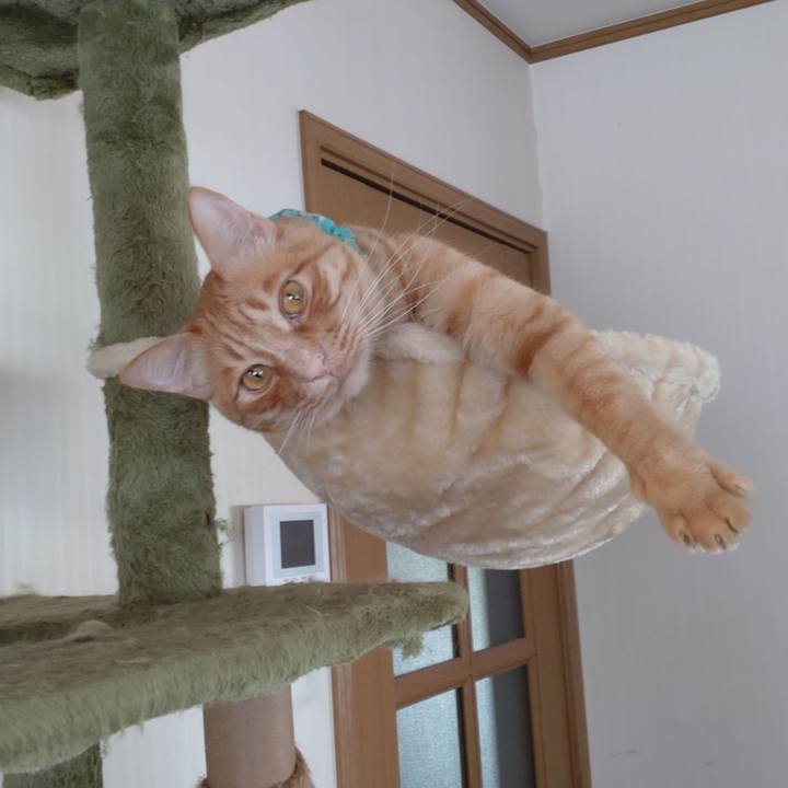 89a9c456 af11 4ec3 b089 0cc0e9d3a27b 1745900838316