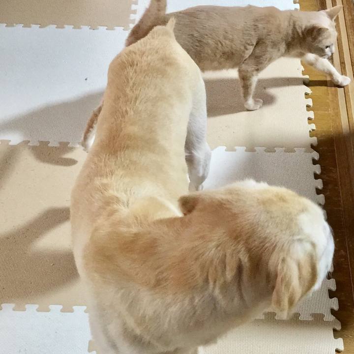 89a9cc6b 280d 436a 925b 4f344ed318a4 1565534952537