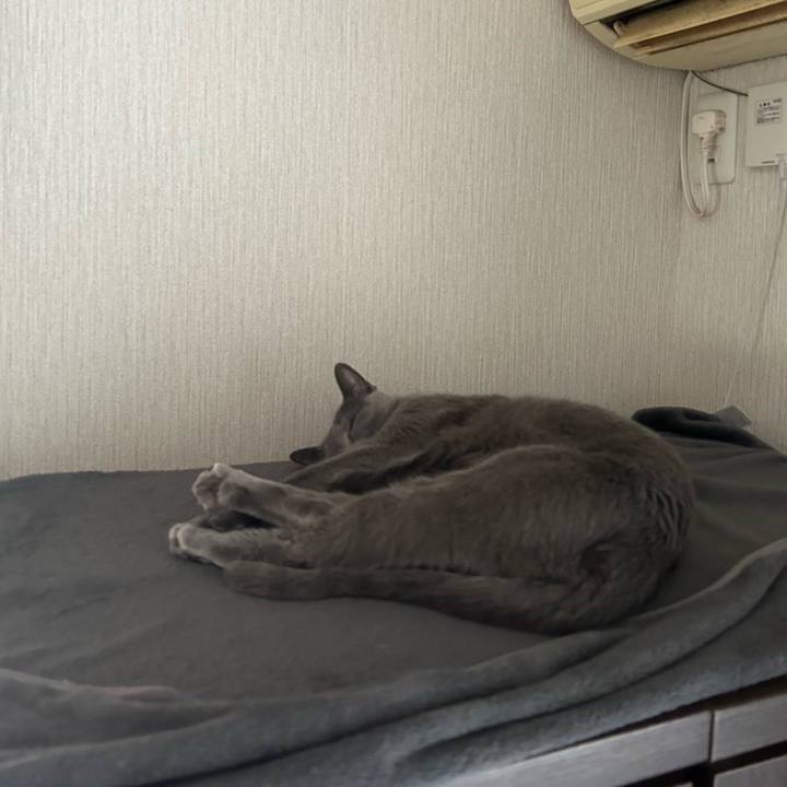 89aa1712 ab78 442a b3bf ca48e90c0dda 1732404909797