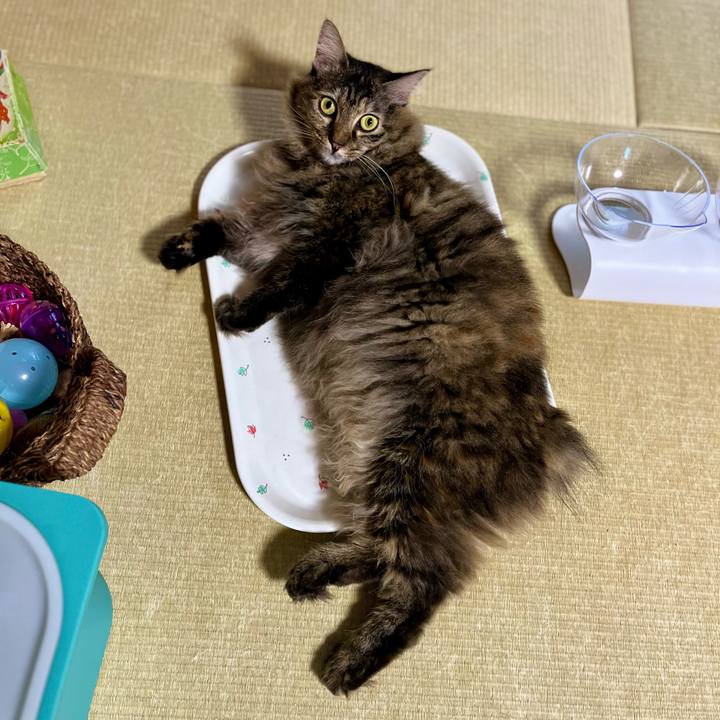 89aa5212 4bd4 443b 96eb 061bc3f17ecd 1690241008958