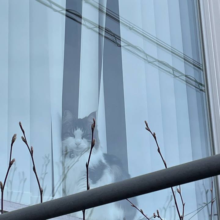 89aa6f52 137a 4136 93f2 23795bde29e2 1648027927125