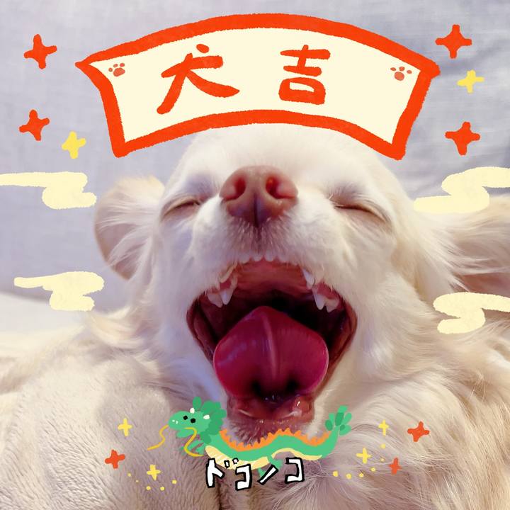 89aaea58 6682 4b95 8717 ee1858b022c8 1704156771236