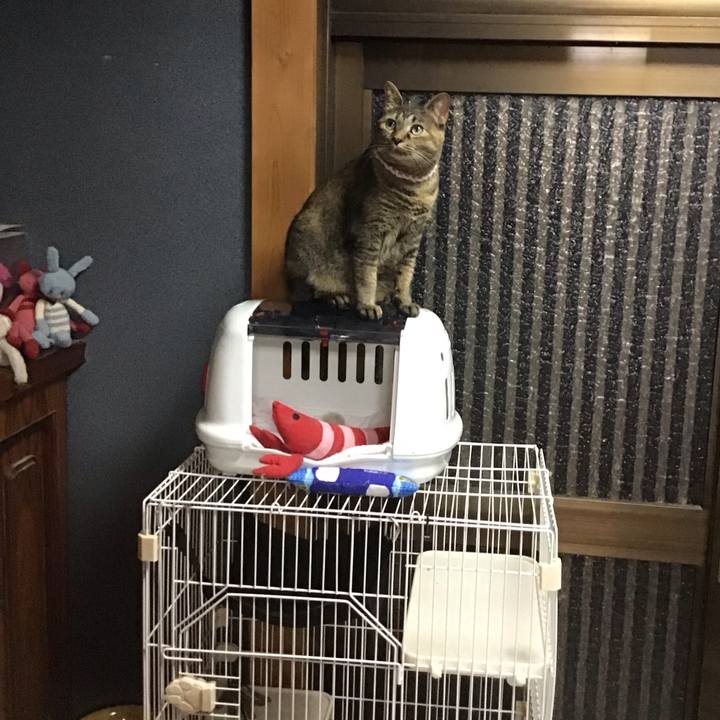 89ab0211 8576 497f 8ed9 5b58b58f5b47 1722251768602