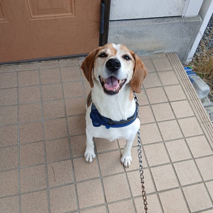 89ab0590 9214 4b73 bdde 3d20999d1626 1750247347650