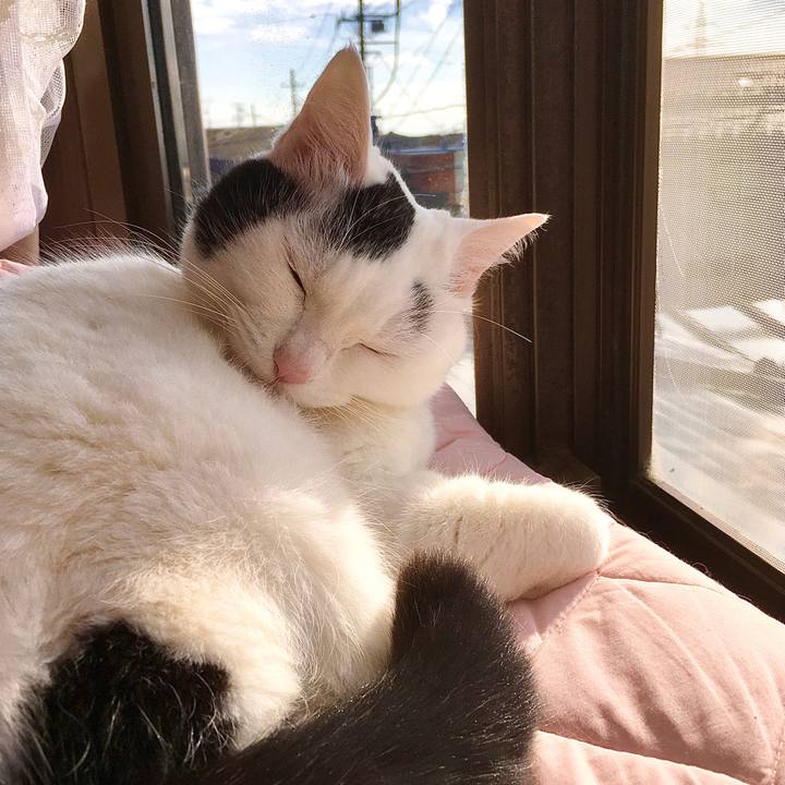 89ab0d9f fd57 4799 9504 7ce5d96c4ec0 1577171988683