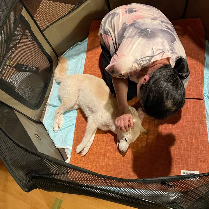 89ab22e6 8a0b 42e6 bf87 8f30673952a5 1662041794649