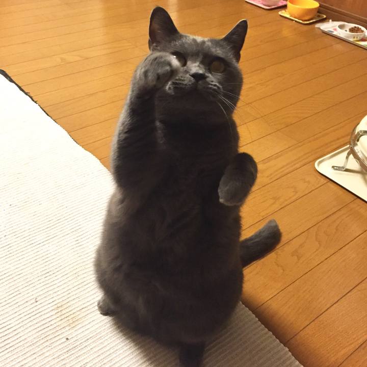 89ab2576 3502 4dad 90be b50f97142898 1510055242445