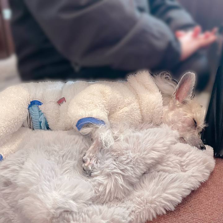 89ab3a4a b51f 4824 8235 a4f97fa6af1f 1771494516784