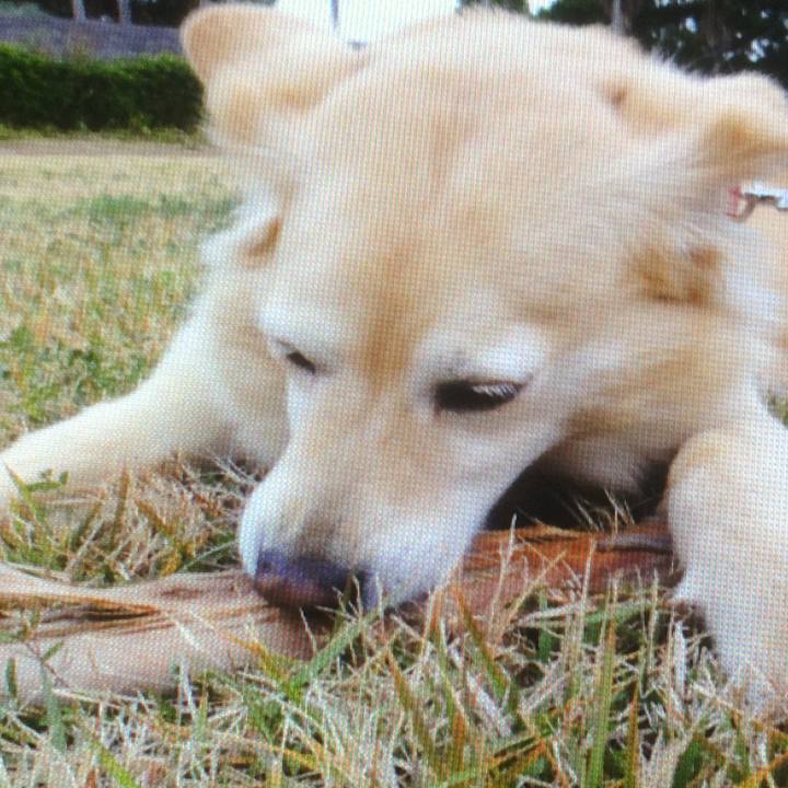 89ab3c19 ac17 4dd9 ad7f c2d30c1aacc8 1558620395501