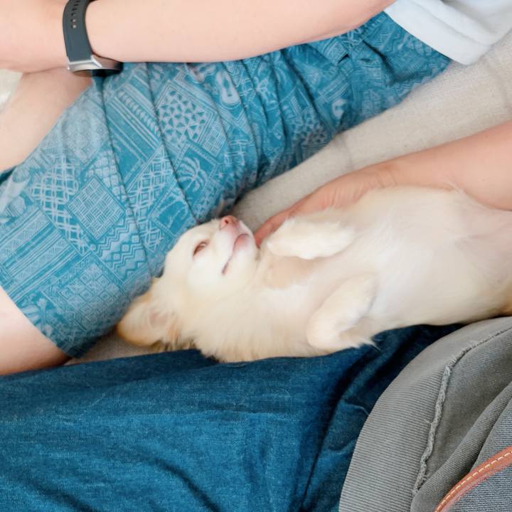 89ab60f1 32a2 470f b1f2 ec47d87977f9 1720329682935