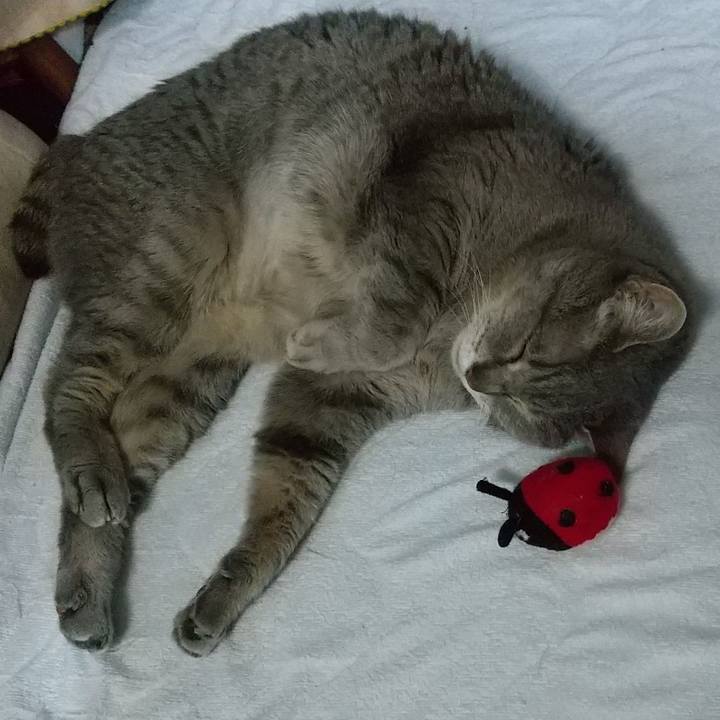 89ab842f 1b82 4768 8009 72f296024e49 1683979650344