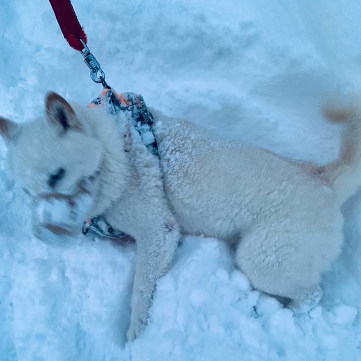 89abdeda 8f42 4aa5 b9cb f5142d47cb60 1672784208147