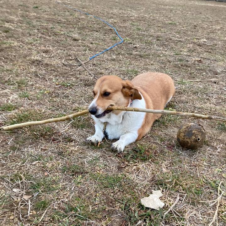 89ac1d00 01ec 4c0c bfcc 95ff6dd030a1 1644114217094