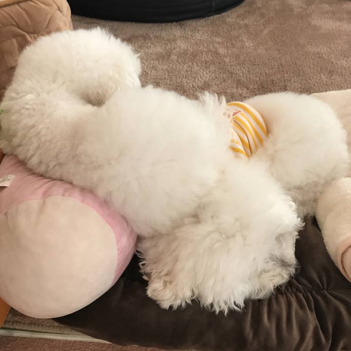 89ac2703 b25d 453e 9746 7b2b9baec61d 1580425782227