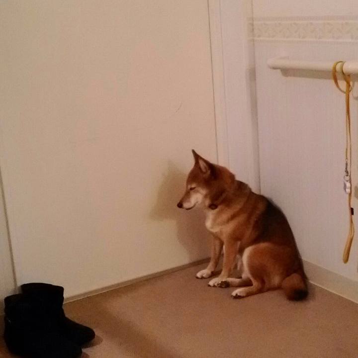 89ac5079 31db 4693 8634 5371e8e2f85a 1511943082621