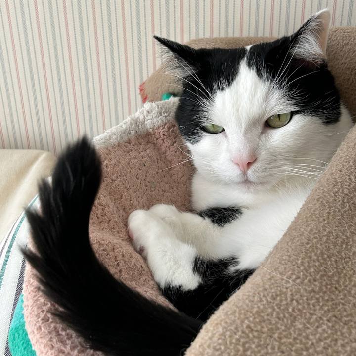 89ac5d69 3696 4dc1 a27e 0c588cb8053c 1774311421172