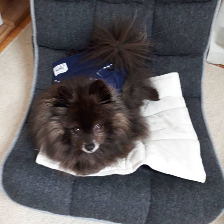 89ac6944 1e48 4960 a224 ca9f971733ca 1519520369647