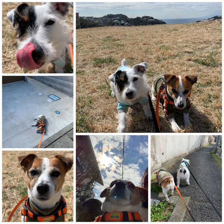 89ac9d35 02b9 484e a5e3 637cd5ee893d 1582861014370