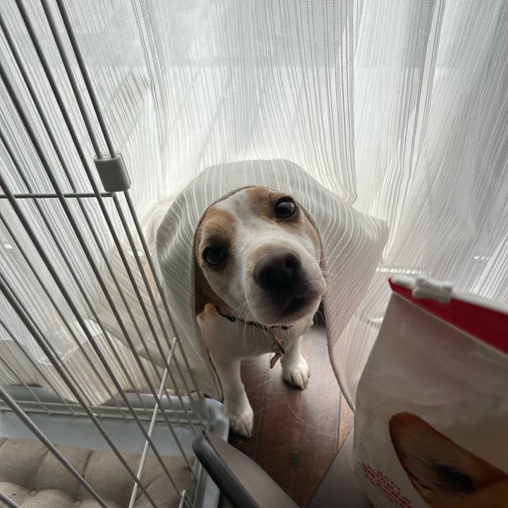 89aca13e c2bd 4f55 83b4 041406064471 1684209354798