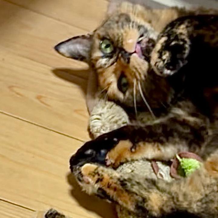 89acb02b a629 423c a01f 819e455cd15a 1756932997584