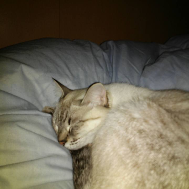 89acc370 9718 4ebd 91a5 69f62bd74a12 1508858520391