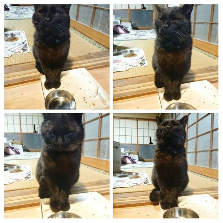 89ace02f 6010 472d 80e1 25dfd9048997 1619608736329