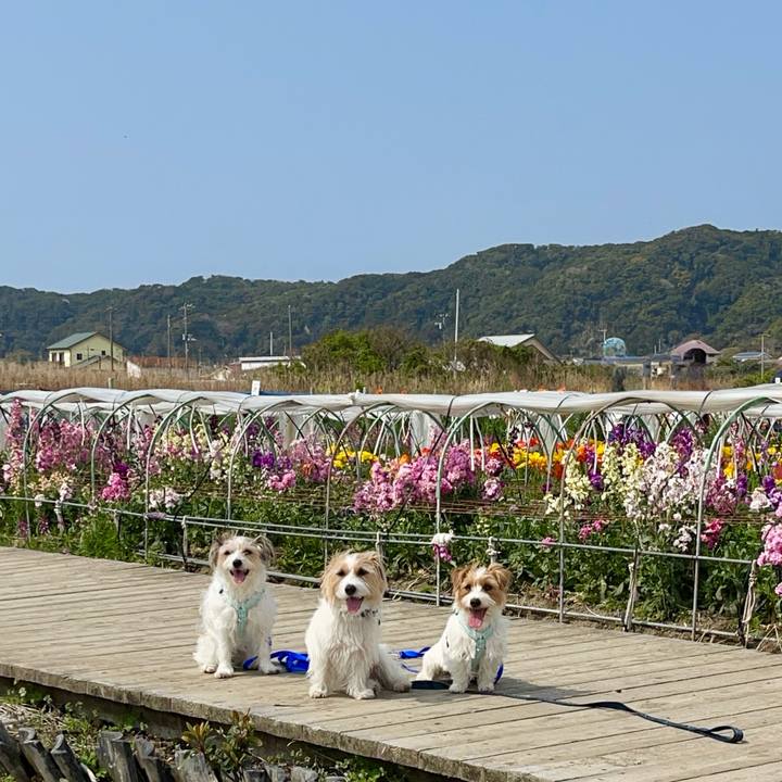 89aced60 e9ec 4b8b aa2f b45866c0fda5 1774781523661