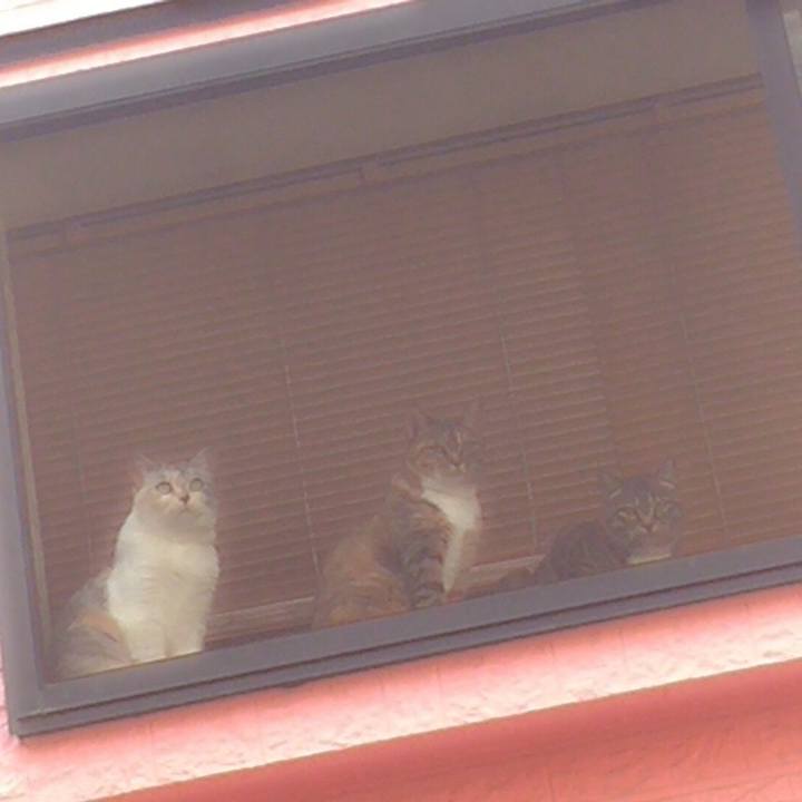 89ad0208 dac0 4744 8441 0a26678beb38 1725294639740