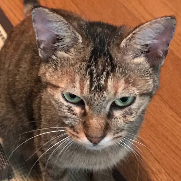 89ad35b5 6868 4ea9 a4f5 40c368b763a5 1570496991314