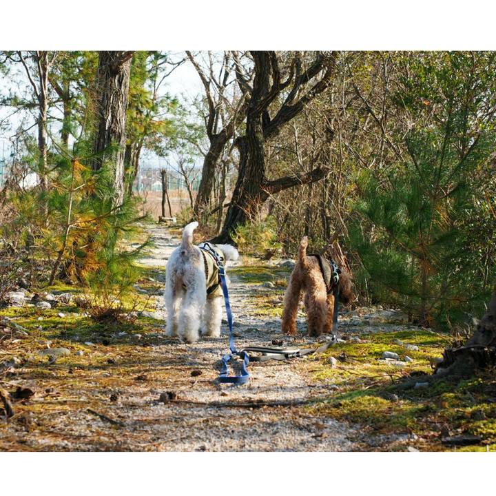 89ad47a8 0c2b 4269 8ea3 0131c60fdf2d 1512893294420