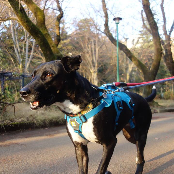 89ad7b98 ad2a 47c4 a240 eb2bf42f5f10 1607300809656