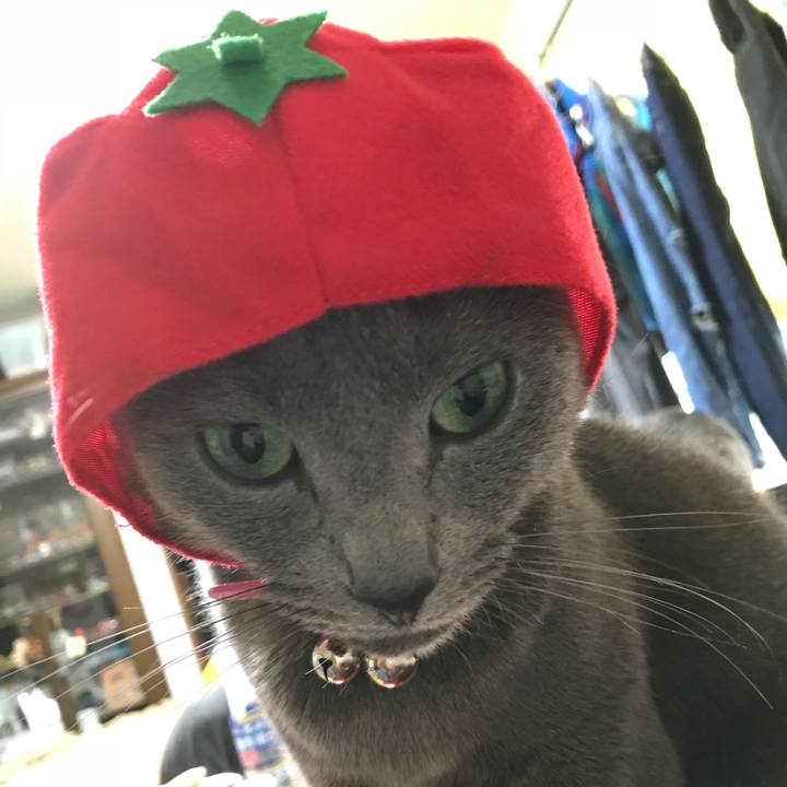 89adf50d 955a 4520 9e43 ab63145a6216 1519282438627