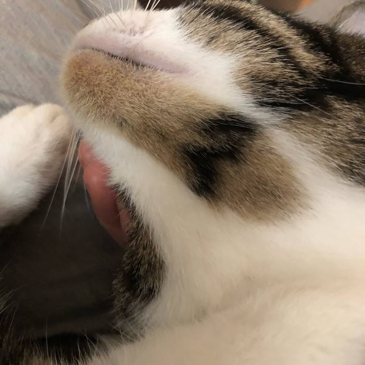 89ae0804 381b 469c bead 41c7a3b8a75e 1539056995362